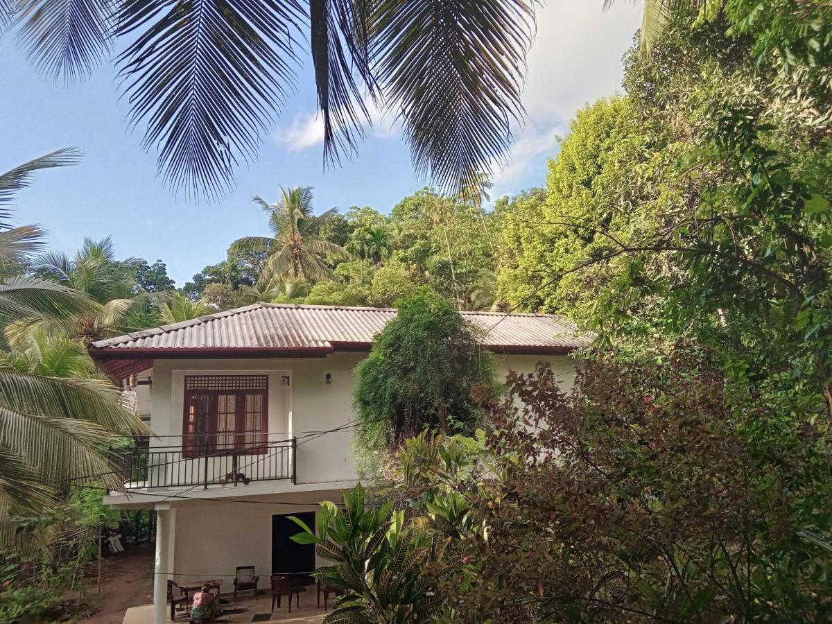 פינאוואלה Jungle Village Homestay מראה חיצוני תמונה
