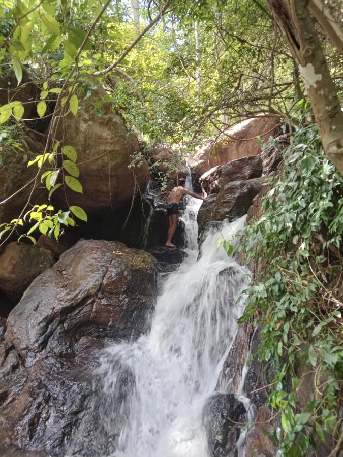 פינאוואלה Jungle Village Homestay מראה חיצוני תמונה