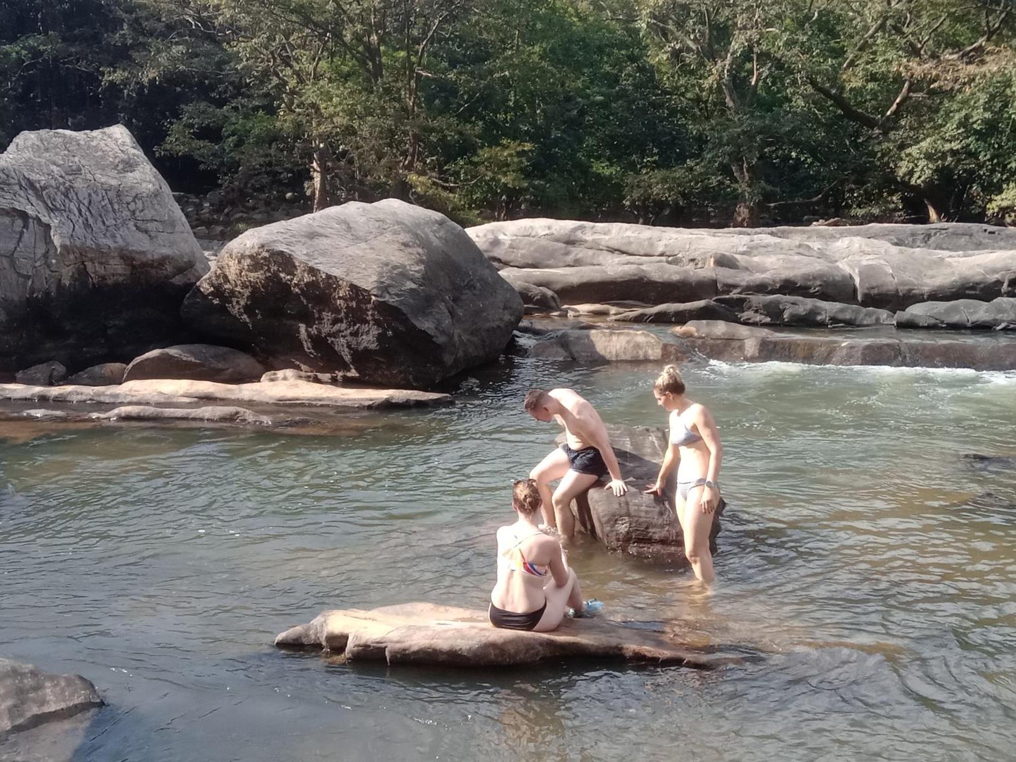 פינאוואלה Jungle Village Homestay מראה חיצוני תמונה